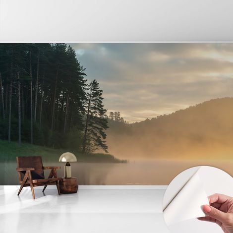Tapete adhésive moderne pour salon et chambre à coucher Décoration rapide avec colle Matin brumeux 416x254 cm (1/5)