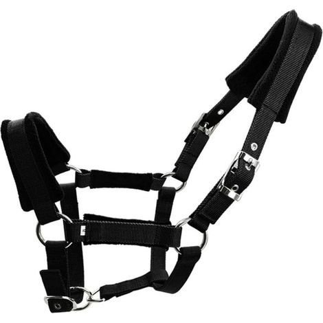 Collier de tête de cheval épais confortable pour poney Cob Horse Halter Bride Accessoire Western (1/4)