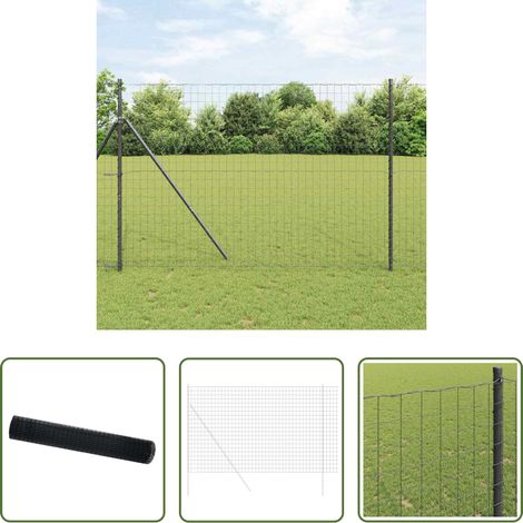 Clôture en fer - Clôture Euro Noir 1,6 x 10 m Fer revêtu de PVC (1/5)