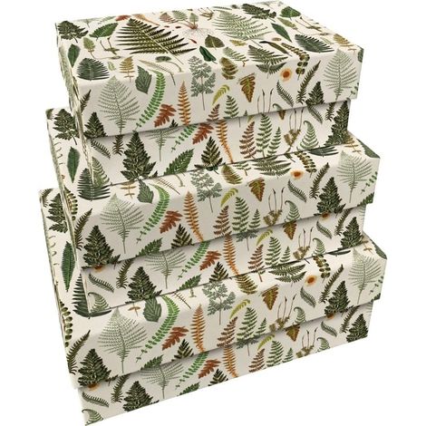 Scatole decorative Felci 3 pezzi