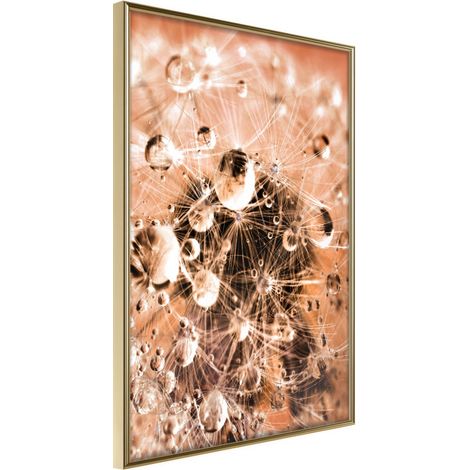 Affiche Murale Encadrée "Drops on Dandelion" 30 x 42 cm Or