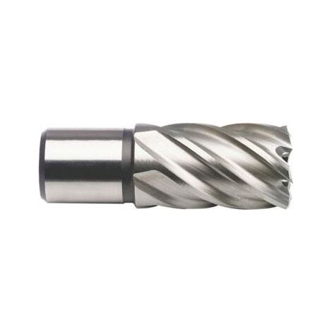 Projahn Kernbohrer HSS-Co 8 % 20,0 mm Schnitttiefe 30,0 mm (1/5)