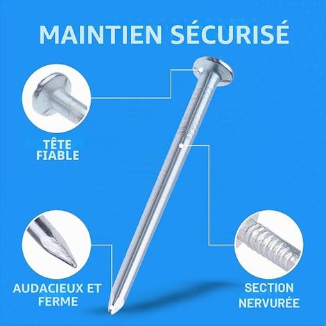 Clous Bois Tête Ronde Plate Galvanisés Bricolage artisanat Décoration Intérieure Travail Bois Meubles Taille Longueur 70 mm Diamètre clou 3 mm (1/4)