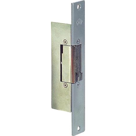CIERRE ELECTRICO CON FRONTAL CORTO 12V AUTOMATICO 832-901G JIS (1/2)