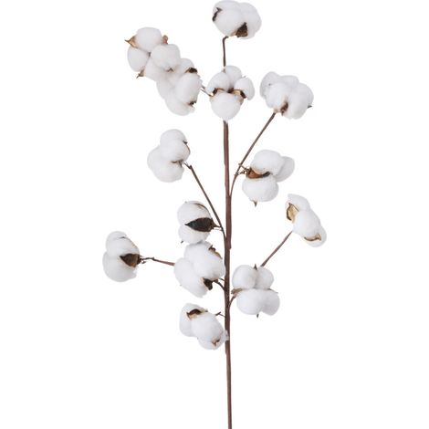 Branche de coton artificielle, 68 cm