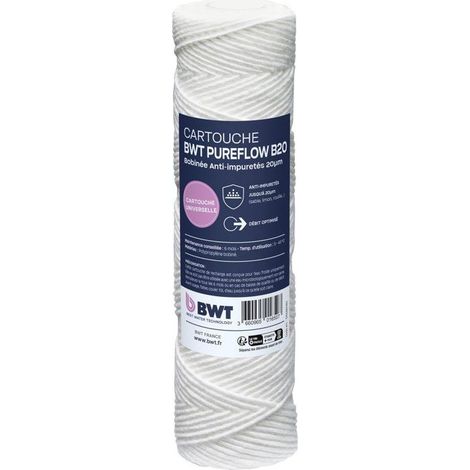 Cartouche filtrante BWT PUREFLOW 20 µm 250 x 60 mm (1/4)