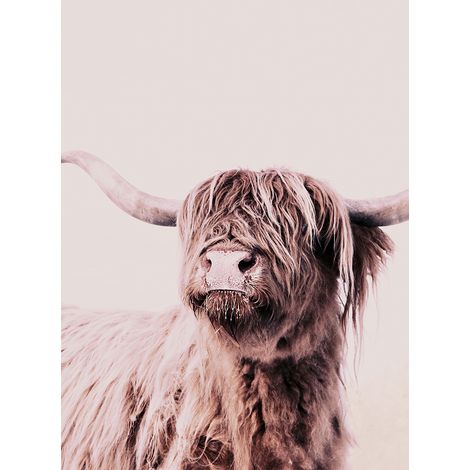 Papier peint panoramique animaux vache Tapisserie panoramique rustique pour couloir Papiers peints panoramiques beige et brun (1/2)
