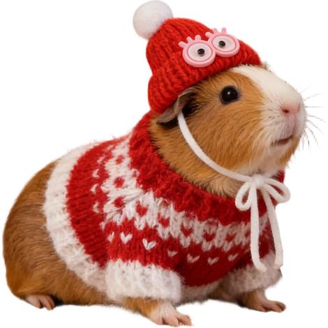 Chandail pour Hamster Pullover Animaux de Compagnie Déguisement À Capuche Pour Animaux Domestiques pour Hamster Cochon d'Inde Lapin Furet Chinchilla Hérisson