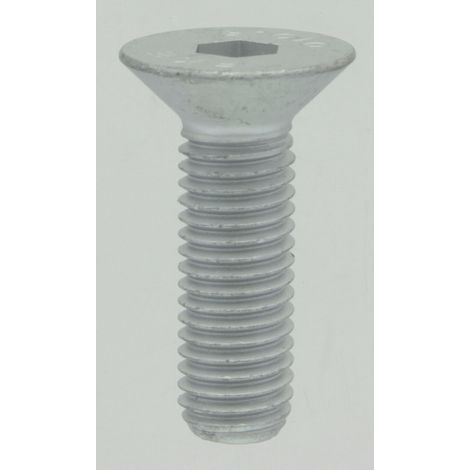 Vite a testa svasata M12 x 40 0002136970 2136970
