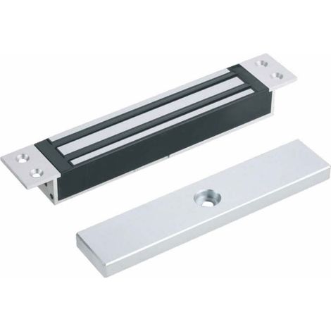 Ventouse magnétique Beugnot serrure electromagnétique encastrée 300 kg 24V/48V avec signal (1/5)