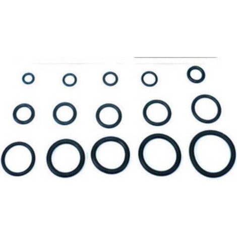 O-RING  8,90X1,90 P/FLESSIBILE MISCELATORE PZ.100