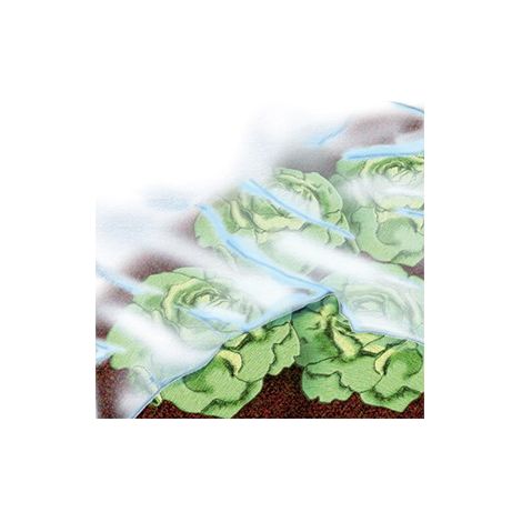 Bache jardin 1,5x10m 17 g/m2, blanc