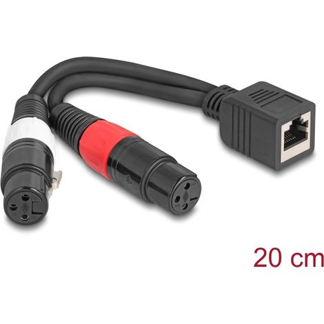 Delock Cable adaptador RJ45 hembra a 2 x XLR 3 pines hembra negro 20 cm