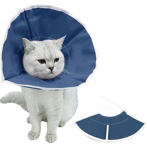 Collier de convalescence pour chat, conique réglable et doux, protection des plaies, récupération chirurgicale, pour animal domestique, respirant, bleu
