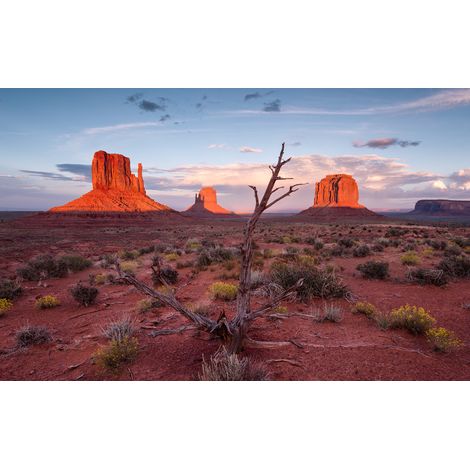 Papier peint panoramique naturel Héros du Far West (1/4)