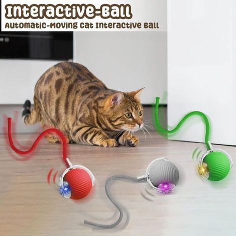 Set di 3 palline interattive per cani e gatti, Smartball, gioco interattivo con palla rotolante per cani e gatti (1/4)