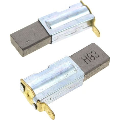 Kohlebürsten 2 Stück, 91095553 für Rasenmäher florabest