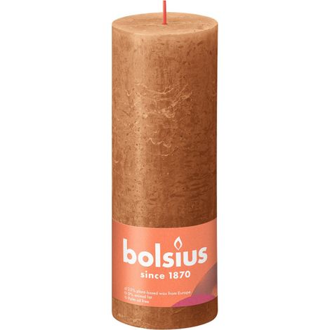 Bolsius Kaars 19x6,8 cm Bruin épicé