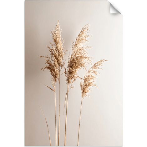 Selbstklebendes Poster – Wandsticker Pampasgraspflanzen Natur Beige 20x30 cm (1/3)