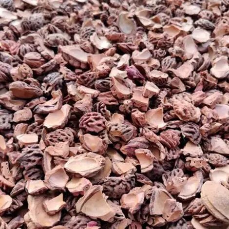 Noyaux de pêches concassés, sac de 20 litres (environ 1 m²) Décoration de jardin et couvre-sol Alternative aux coquilles de cacao