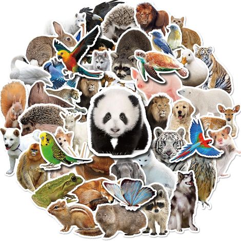 Lot de 50 autocollants d'animaux de la forêt pour enfants - 5-7 cm (1/5)