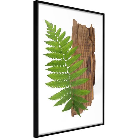 Affiche Murale Encadrée "Expressive Ferm" 40 x 60 cm Noir