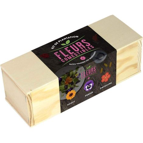 Kit d'Auto-culture Fleurs comestibles - Souci, pensée et capucine (1/3)
