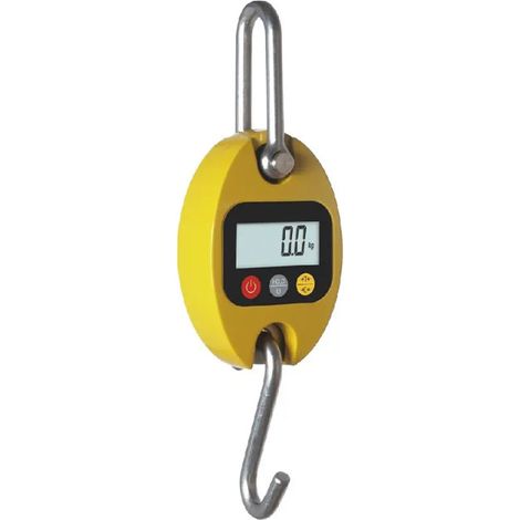 Dynamomètre digital - 150 kg x 50 g