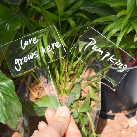 Étiquettes de jardinage pour plantes – Lot de 12 piquets en plastique rectangulaires, marqueurs de potager, signalétiques pour plantes miniatures et légumes, accessoires de jardin. (1/5)