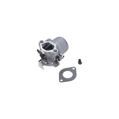 Eosnow,Carburateur moteur Carb convient pour Briggs & Stratton 285707, 289707, 28B705, 28M707