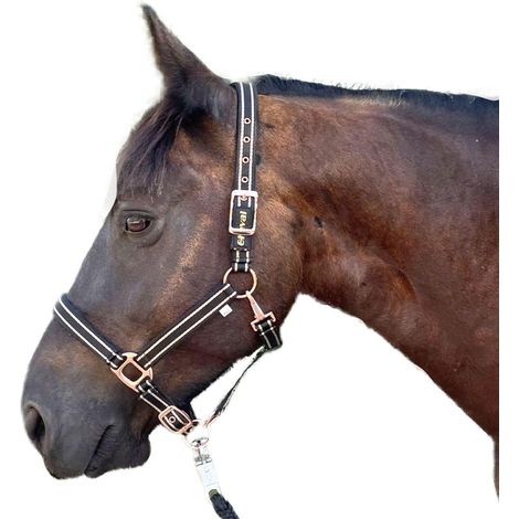 1 Licol Cheval Réglable Nylon Doublé Polaire Or Rose Noir Équitation Cob