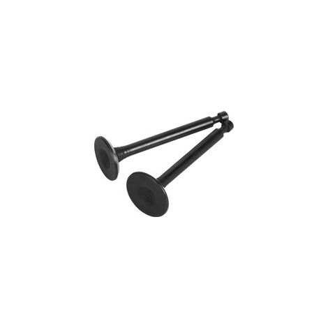 Lot de 2 soupapes d'admission et d'échappement pour débroussailleuse à quatre temps Honda GX35/Huasheng 140FA (1/5)