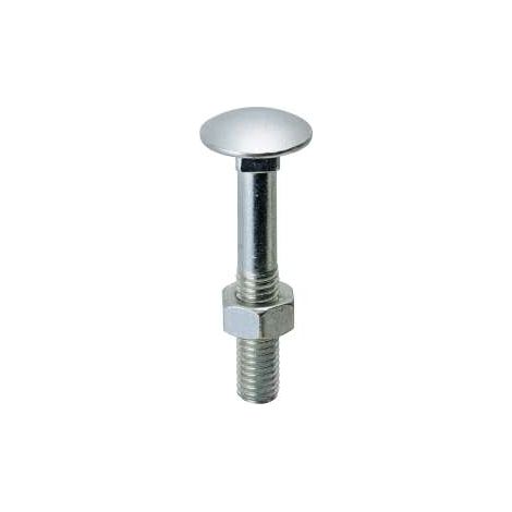 Viti Testa Tonda Con Quadro Sottotesta (Ttq) Inox Mm.6X 50