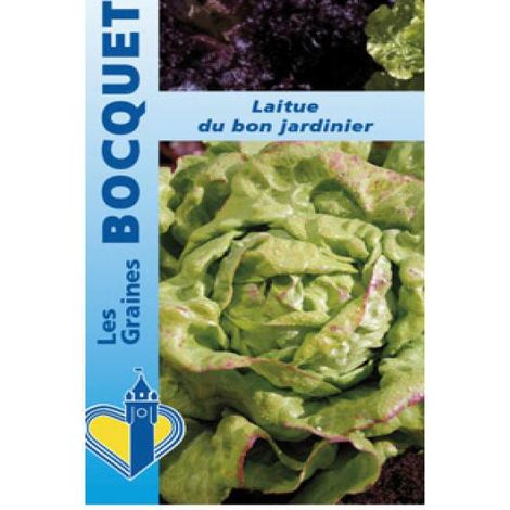 Laitue d'été 'Du Bon Jardinier' le sachet de 2500 graines (3g) (1/2)