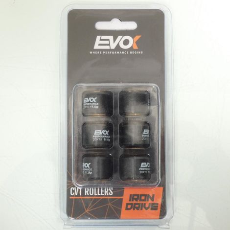 Variomatik-Rolle EVOK für Roller Malaguti 125 F18 Warrior 2000 (1/4)