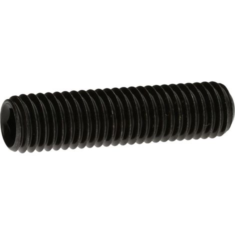 Reidl DIN 916 Gewindestifte M20x40, mit Innensechskant/Ringschneide, 45 H blank (1/4)