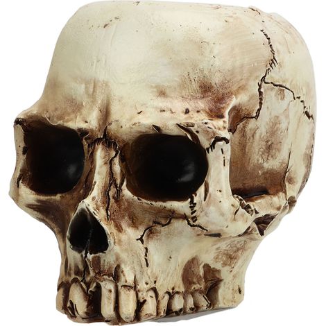 Totenkopf-Blumentopf aus Kunstharz, hochfest, transparent, Totenkopf-Form, Pflanzgefäß für Zuhause, Büro, Schreibtischdekoration (1/5)