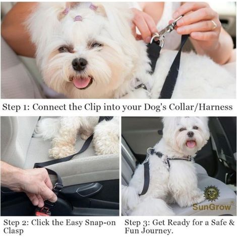 Ceinture de sécurité pour chien, réglable en nylon, compatible avec toutes les voitures, laisse de voiture pour chien, harnais de v (1/4)