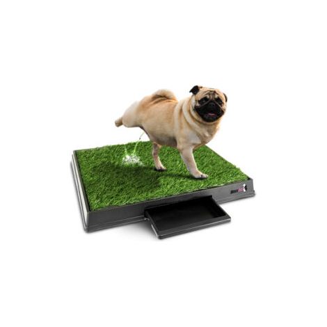 MaxxPet Dog Toilet Artificial Grass - Tappetino per l'addestramento alla toilette - Addestramento alla toilette del cane - 64x52 cm - Tappetini aggiuntivi inclusi (1/5)