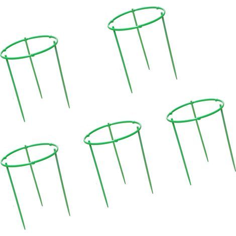 Lot de 5 tour de piquet en treillis pour plantes, Support pour