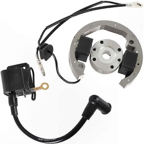 50-cm³-Zündspulen-Stator-Rotor-Schwungrad-Kit für Junior- und Senior-Adventure-Bikes (1/5)