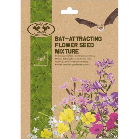 Mélange de fleurs pour attirer les chauve-souris