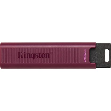 Kingston Datatraveler Max USB-Stick, dtmaxa/256 GB (1/5)