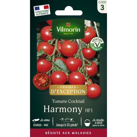 Sachet graines Tomate Harmony HF1
