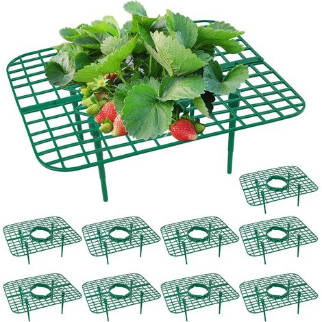 Set of 10 square plant supports, strawberry plant support frames, planting supports to keep plants clean (1/5)
