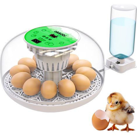 Couveuse Oeuf Automatique - Contrôle Humidité, Réglage Température, Couveuse Automatique 12/24 œufs - Incubateur Auto - Vue 360°, facile à utiliser et nettoyer - Blanc et vert (1/5)