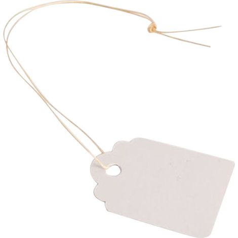 100 étiquettes adhésives imperméables pour jardin, plantes, à suspendre (blanches) (1/3)