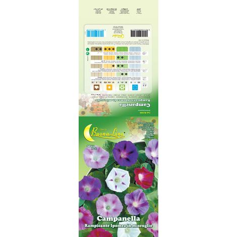 SEMI GARDEN CAMPANELLA Q.TA 10