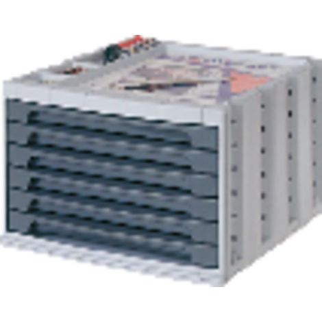 ARC MODULO 6 CAJ CLASIF GR 600 6PGS
