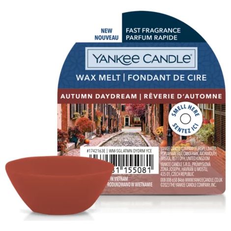 CERA DA FONDERE WAX MELT AUTUMN DAYDREAM (1/2)